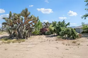 10925 Buttonwood, Phelan, CA 92371 - Photo 40