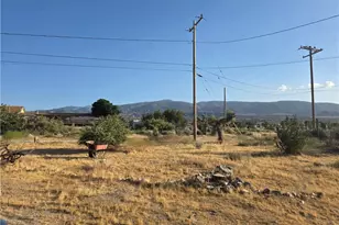 10623 Desert View, Pinon Hills, CA 92372 - Photo 32