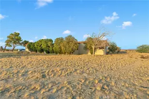 33445 Newberry, Newberry Springs, CA 92365 - Photo 4