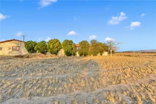 33445 Newberry, Newberry Springs, CA 92365 - Photo 4