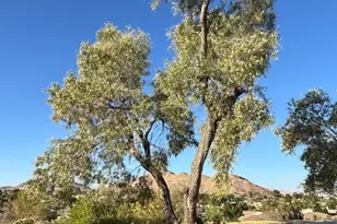 15492 Lenca, Apple Valley, CA 92307 - Photo 4