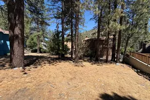 5750 Lodgepole, Wrightwood, CA 92397 - Photo 8