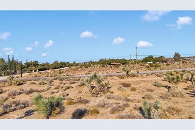 875 Locust Road, Pinon Hills, CA 92372 - Photo 10