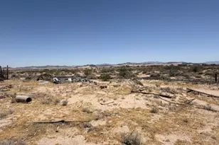 48423 Thoreau Rd, Newberry Springs, CA 92365 - Photo 4