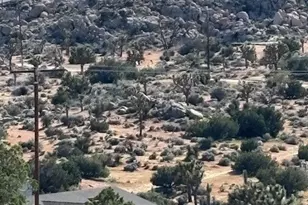 5437 Davis Way, Yucca Valley, CA 92284 - Photo 2