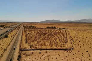 45534 Hacienda Rd, Yermo, CA 92398 - Photo 2