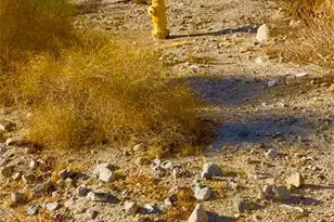 81620 Dillon, Desert Hot Springs, CA 92241 - Photo 1