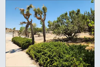 9425 Mountain, Pinon Hills, CA 92372 - Photo 44