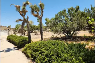 9425 Mountain, Pinon Hills, CA 92372 - Photo 44