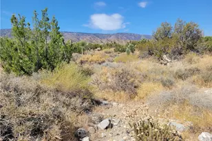 0 Tamarack, Pinon Hills, CA 92372 - Photo 1