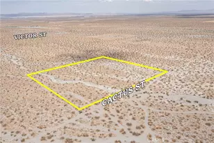 31001214 Cactus Rd, Pinon Hills, CA 92372 - Photo 1