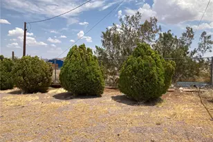 46822 Magney, Newberry Springs, CA 92365 - Photo 66