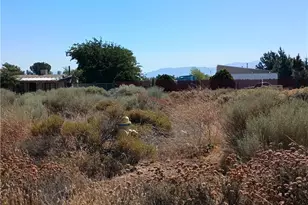 7139 Amestoy Rd, Oak Hills, CA 92344 - Photo 6