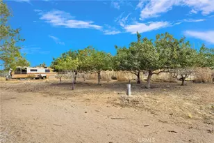 31125 Morningside, Lucerne Valley, CA 92356 - Photo 48