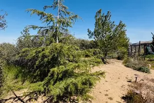 7438 Woodcliff, Phelan, CA 92371 - Photo 50