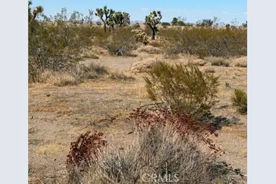 0 Luna-309806115, Phelan, CA 92371 - Photo 6