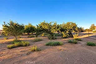 9275 Rattlesnake, Phelan, CA 92371 - Photo 44