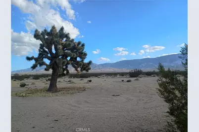 9823 Joshua, Lucerne Valley, CA 92356 - Photo 4