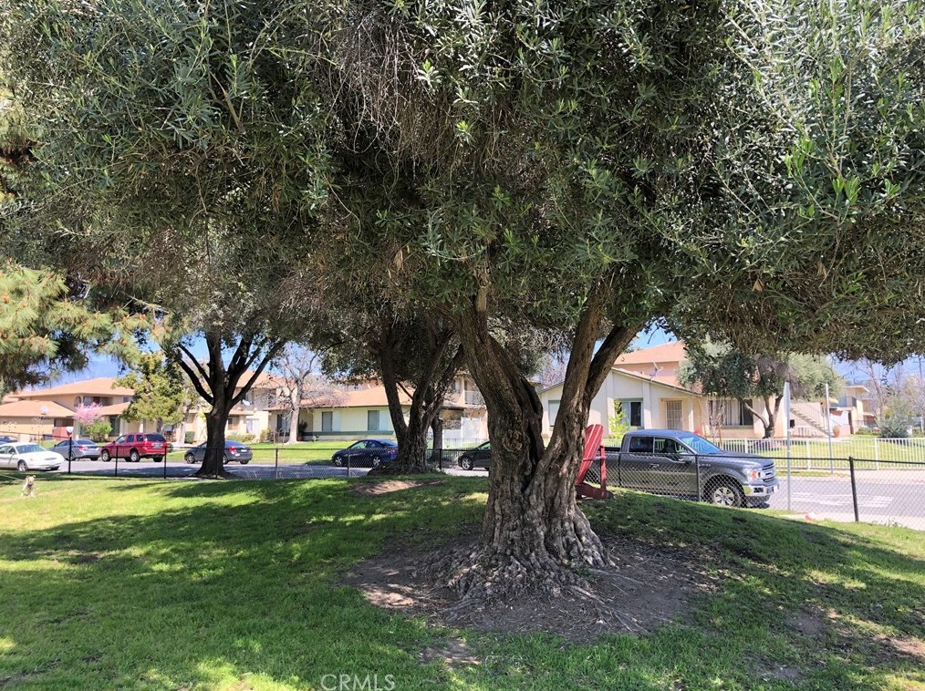 521 Brockton Ave, Redlands, CA 92374-3497