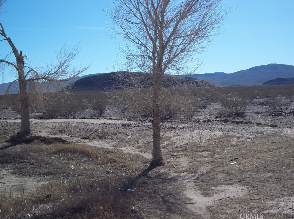 46699 Magney Ln, Newberry Springs CA  92365-9703 exterior
