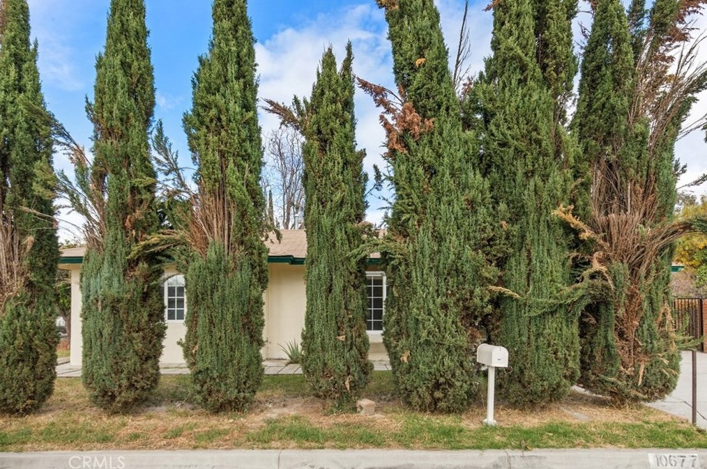 10677 Seamont Dr, Loma Linda, CA 92354