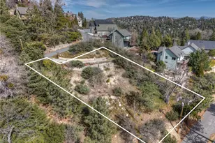 841 Madera Ln, Lake Arrowhead, CA 92352 - Photo 1