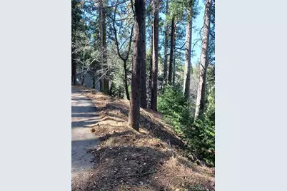 35 Spring Drive, Cedarpines Park, CA 92322 - Photo 2