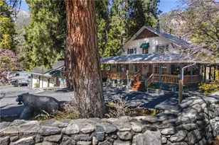 41208 Valley of the Falls Dr, Forest Falls, CA 92339 - Photo 4