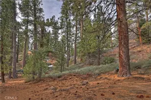 39128 North Shore, Fawnskin, CA 92333 - Photo 70