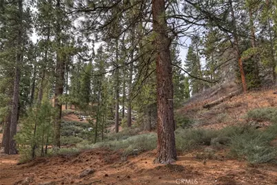 39128 North Shore, Fawnskin, CA 92333 - Photo 70