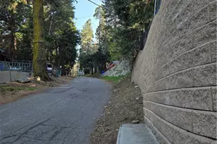 443 Hartman Cir, Cedarpines Park, CA 92322 - Photo 30