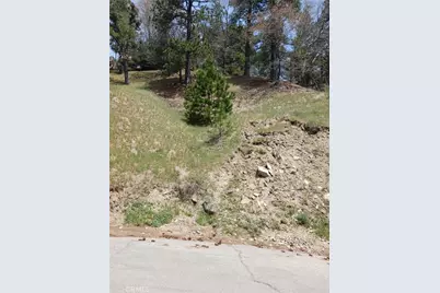 21858 Fern Canyon Road, Cedarpines Park, CA 92322 - Photo 6