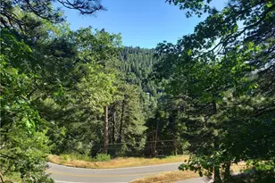 21858 Fern Canyon Rd, Cedarpines Park, CA 92322 - Photo 1