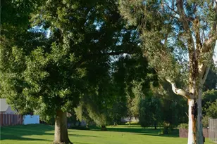 10060 Hillsborough Ln, Riverside, CA 92503 - Photo 42