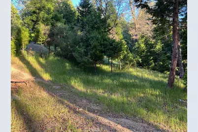 29038 Terrace, Cedar Glen, CA 92321 - Photo 4