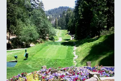 135 N Fairway Drive, Lake Arrowhead, CA 92391 - Photo 10