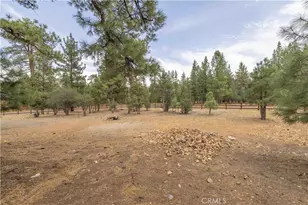 1635 Shenandoah Way, Big Bear City, CA 92314 - Photo 42