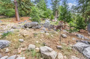 6429 Cedar Ave, Angeles Oaks, CA 92305 - Photo 32