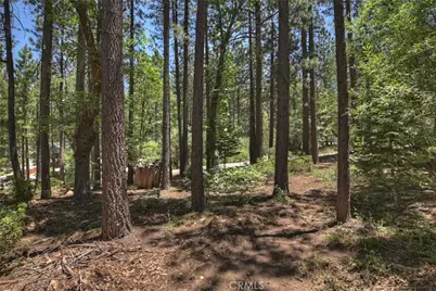 813 Eureka Drive, Big Bear Lake, CA 92315 - Photo 24