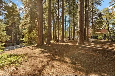 0 Valley View Drive, Running Springs, CA 92382 - Photo 6