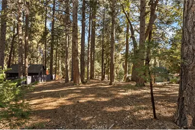 0 Valley View Drive, Running Springs, CA 92382 - Photo 4