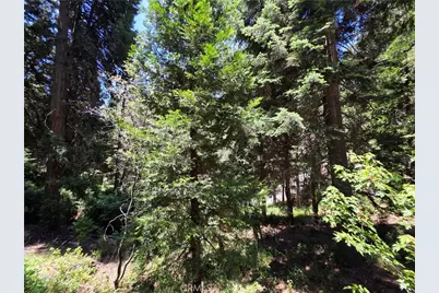 606 Crest Estates Drive, Lake Arrowhead, CA 92352 - Photo 30
