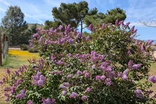 46404 Kings Canyon Rd, Lancaster, CA 93536 - Photo 38