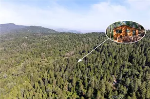 22490 Rockwell Rd, Cedarpines Park, CA 92322 - Photo 4