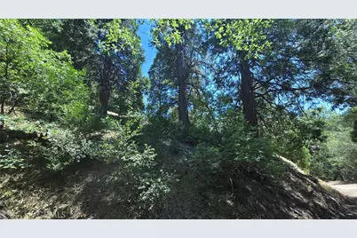 22494 Mojave River Road, Cedarpines Park, CA 92322 - Photo 6