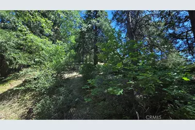 22494 Mojave River Road, Cedarpines Park, CA 92322 - Photo 2