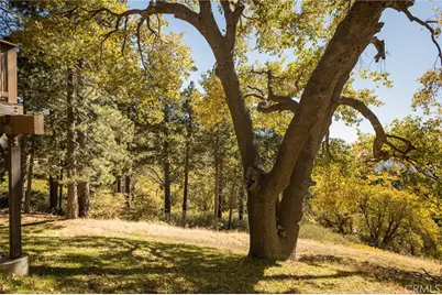 2461 Spring Oak Drive, Running Springs, CA 92382 - Photo 2