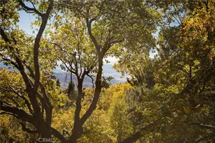 2461 Spring Oak Dr, Running Springs, CA 92382 - Photo 46