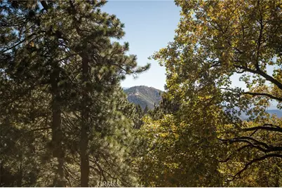 2461 Spring Oak Drive, Running Springs, CA 92382 - Photo 48