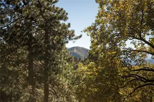 2461 Spring Oak Dr, Running Springs, CA 92382 - Photo 48